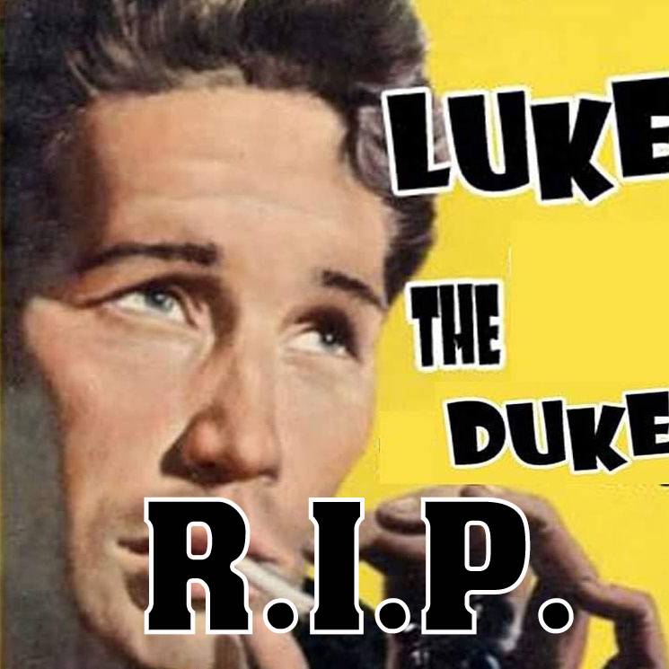 LUKE THE DUKE